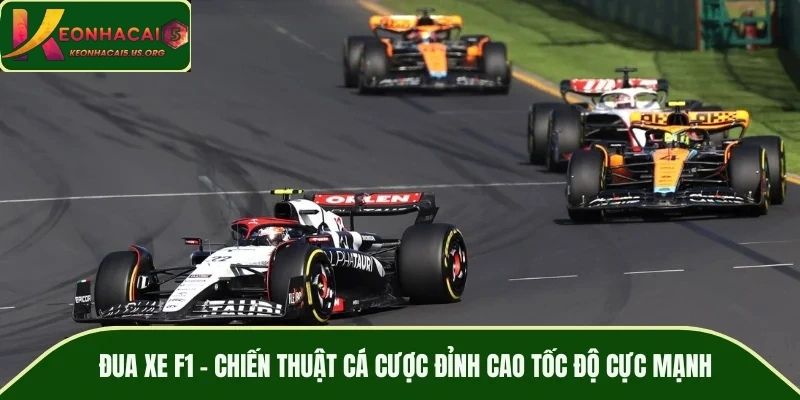 Chiến thuật cá cược đua xe F1 cho người chơi chuyên nghiệp