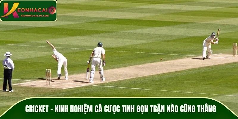Cricket – Kinh Nghiệm Cá Cược Tinh Gọn Trận Nào Cũng Thắng