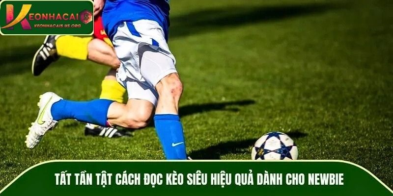 Tất tần tật cách đọc kèo siêu hiệu quả dành cho newbie