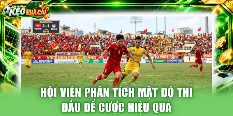 Hội viên phân tích mật độ thi đấu để cược hiệu quả