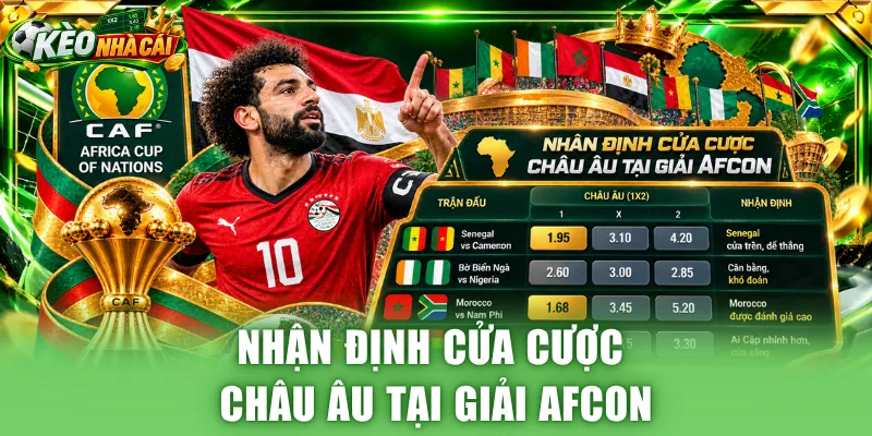 Nhận định cửa cược châu Âu tại giải AFCON