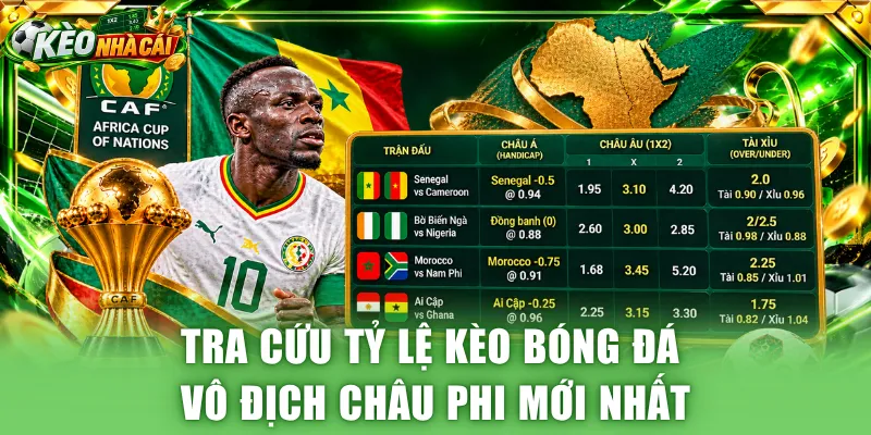 Tra cứu tỷ lệ kèo bóng đá vô địch châu Phi mới nhất